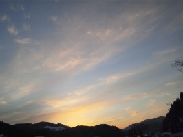 DSC_1914.JPG