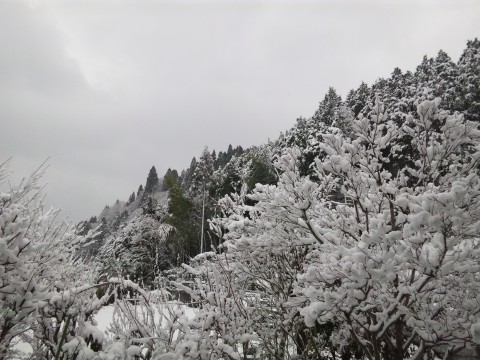 DSC_2519.JPG