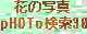｢花の写真pHOTo検索30｣へ