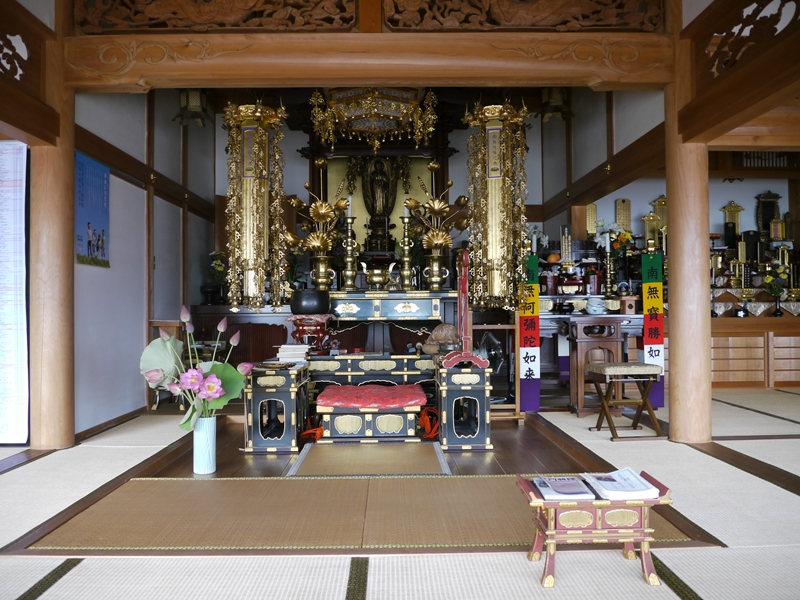 念佛寺内陣を飾る蓮の花…金盛氏より