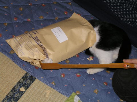 猫は間袋が大好きで（2005.1.4）